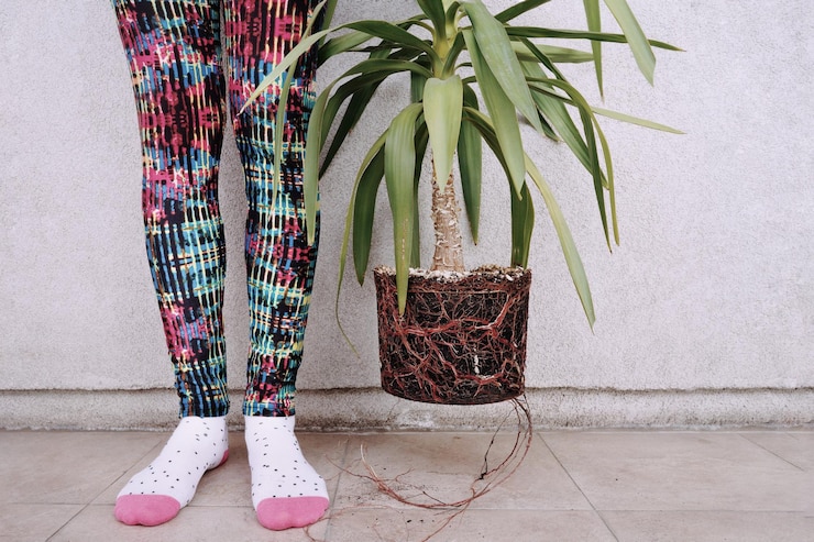 Foto sección baja de una persona de pie junto a la planta contra la pared