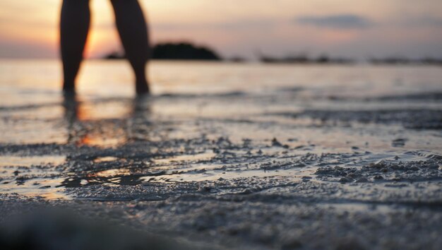 Foto sección baja de una persona en la playa durante la puesta del sol