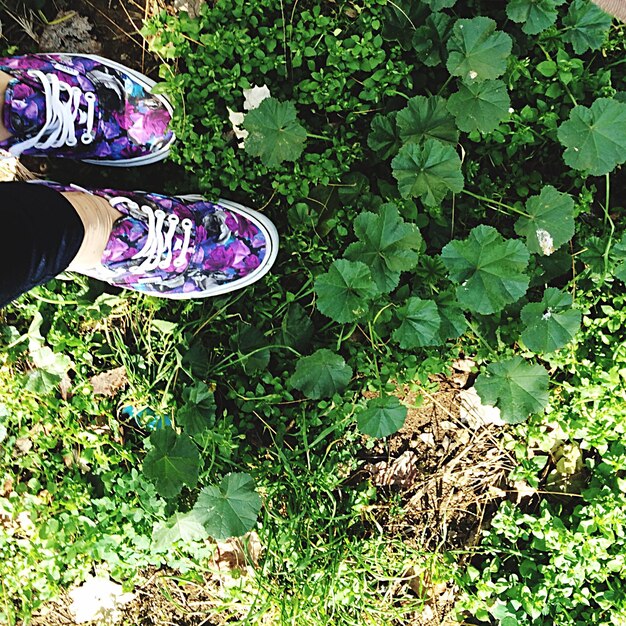 Foto sección baja de una persona con zapatos de lona de pie en el campo