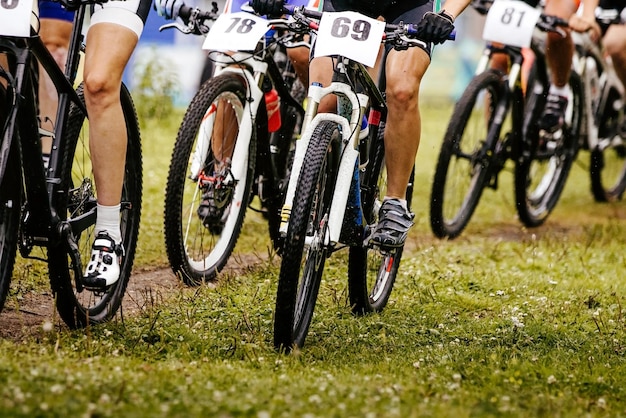 Sección baja de personas montando bicicletas en el césped