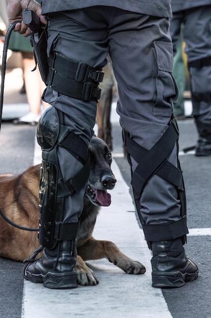 Foto sección baja de personas con perro en la calle de la ciudad