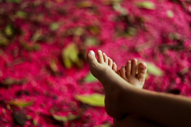 Foto sección baja de las piernas del niño contra el campo rosa