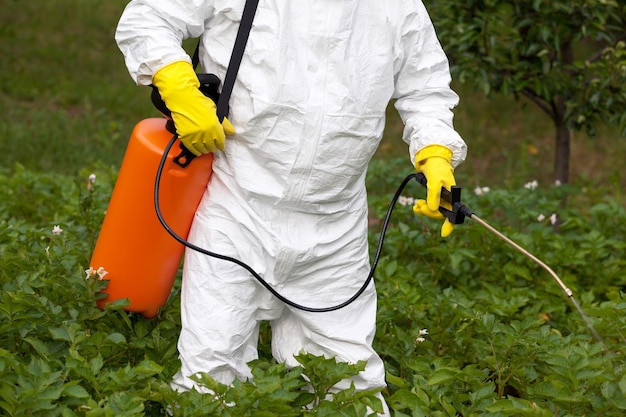Sección media de un agricultor rociando pesticidas en las plantas