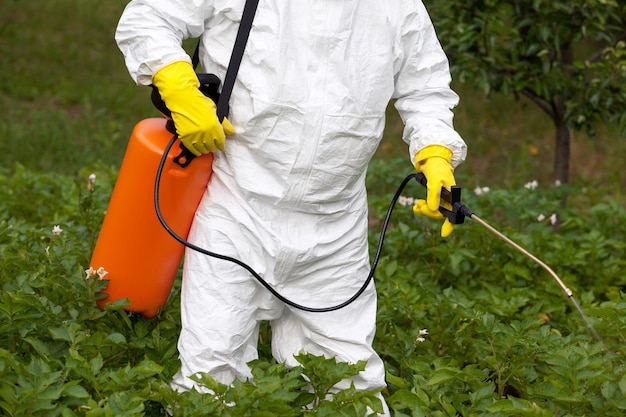 Foto sección media de un agricultor rociando pesticidas en las plantas