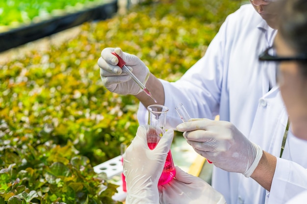 Foto sección media de un científico realizando un experimento al aire libre