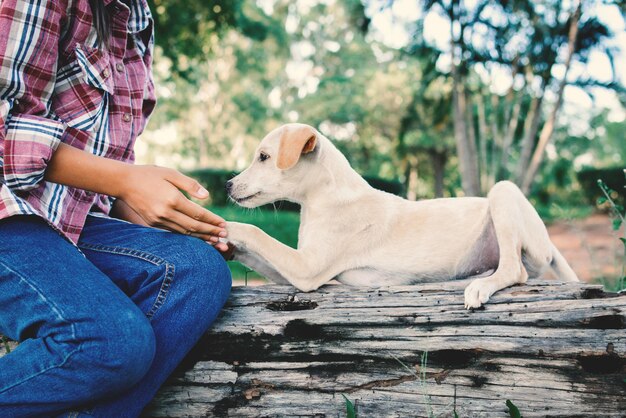 Sección media de un hombre con un perro sentado en un árbol