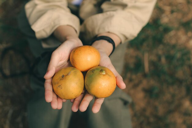Foto sección media de un hombre sosteniendo una fruta