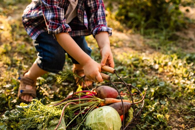 Foto sección media de un hombre sosteniendo una manzana en el campo