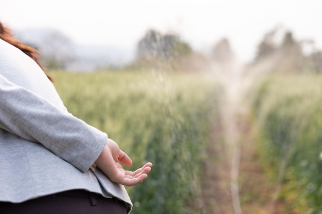 Foto sección media de la mano de la mujer en el campo