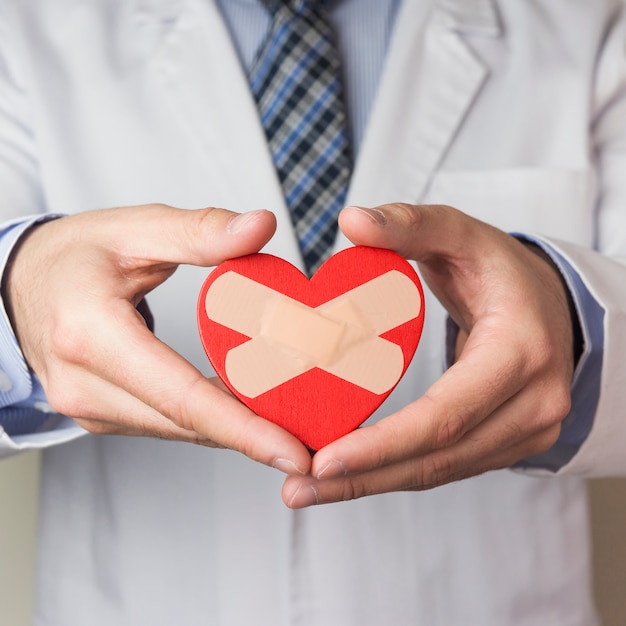 Foto sección media de un médico masculino que muestra un corazón rojo con vendaje cruzado