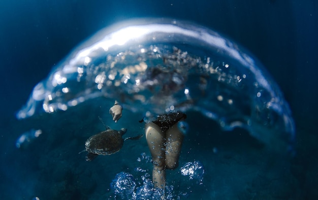 Foto sección media de una mujer nadando bajo el mar