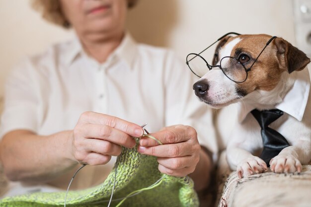 Foto sección media de una mujer con un perro en casa