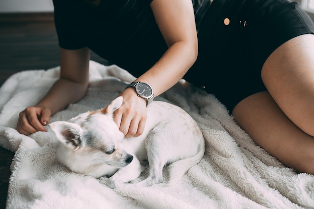 Sección media de una mujer con un perro reclinado en la cama