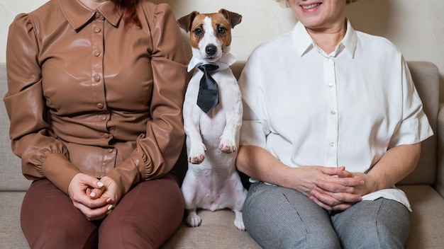 Foto sección media de una mujer con un perro sentado en el sofá