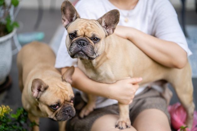 Foto sección media de una mujer con un perro