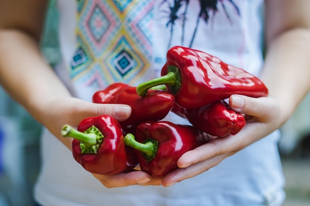 Sección media de una mujer sosteniendo pimientos rojos