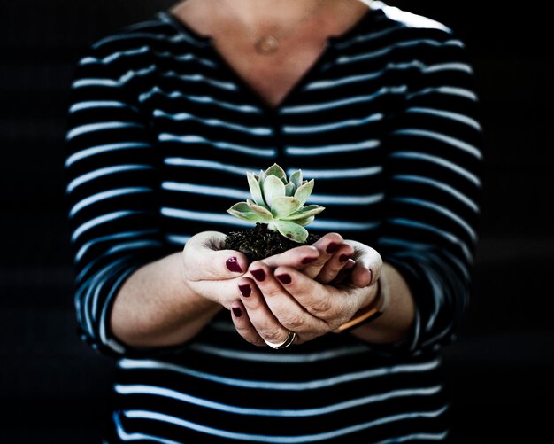 Foto sección media de una mujer sosteniendo una suculenta