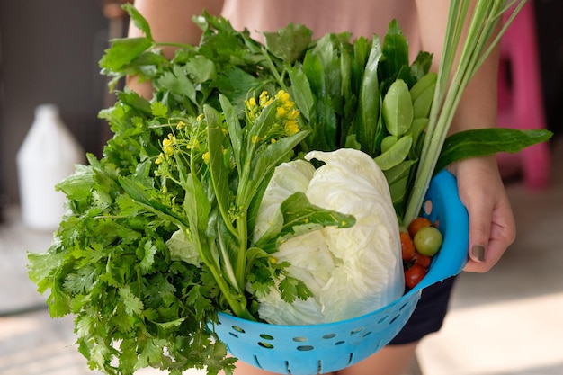 Sección media de una mujer sosteniendo verduras en una canasta