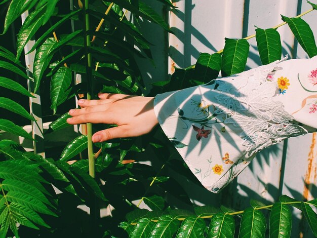 Foto sección media de la mujer tocando la planta