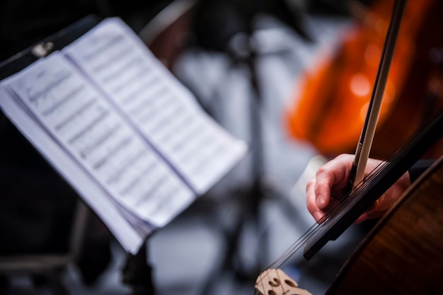 Sección media de un músico tocando el violonchelo