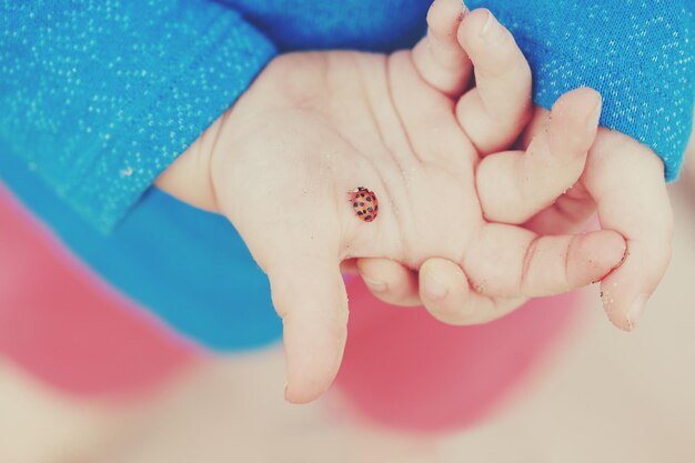 Foto sección media de un niño que sostiene a la mariposa