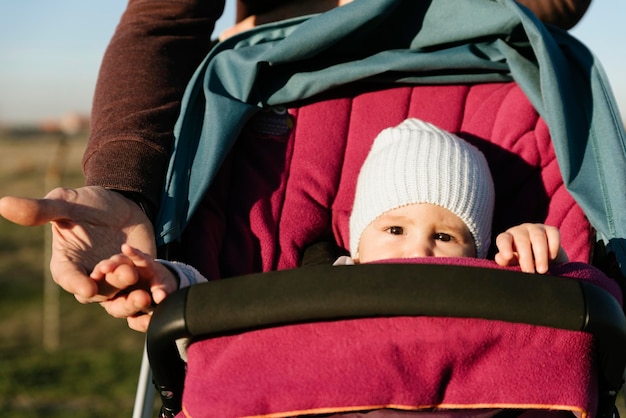 Sección media del padre empujando al bebé en el cochecito