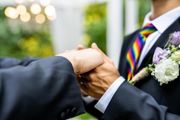 Foto sección media de una pareja gay tomándose de la mano