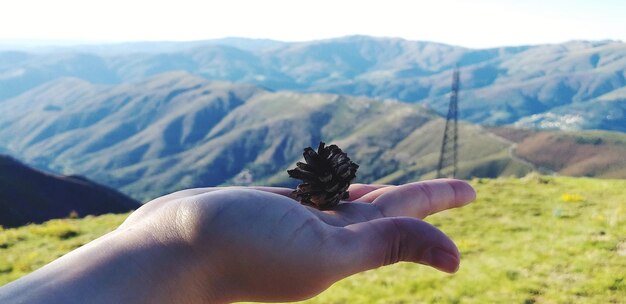 Foto sección media de una persona en la montaña