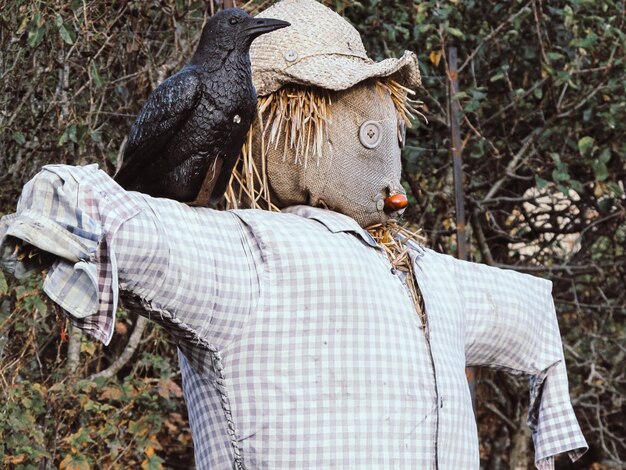 Foto sección media de una persona de pie junto a un árbol en tierra