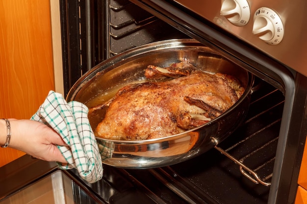 Foto sección media de una persona preparando comida en la cocina