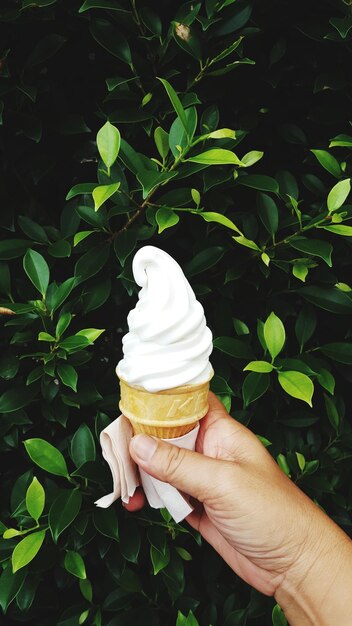 Foto sección media de una persona que sostiene un cono de helado