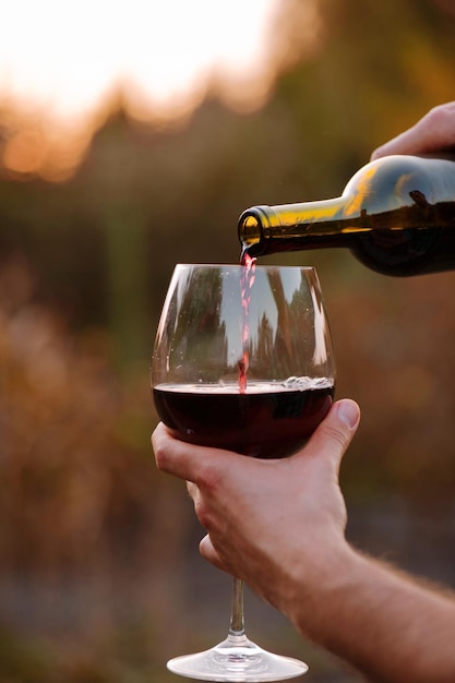 Sección media de una persona que sostiene un vaso de beber