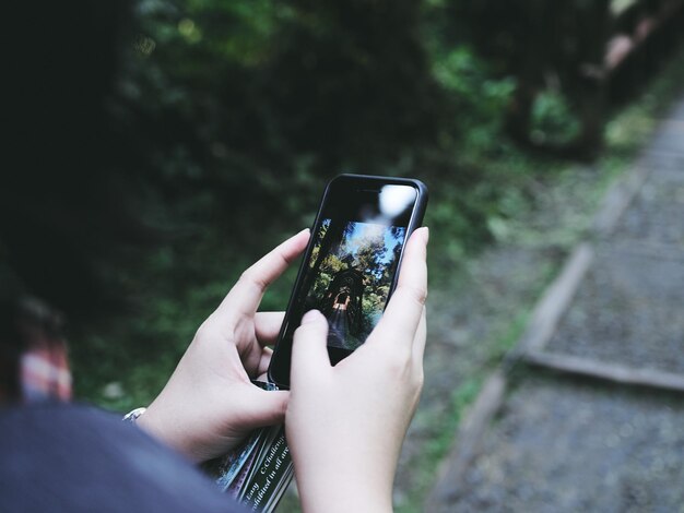 Foto sección media de una persona con un teléfono inteligente