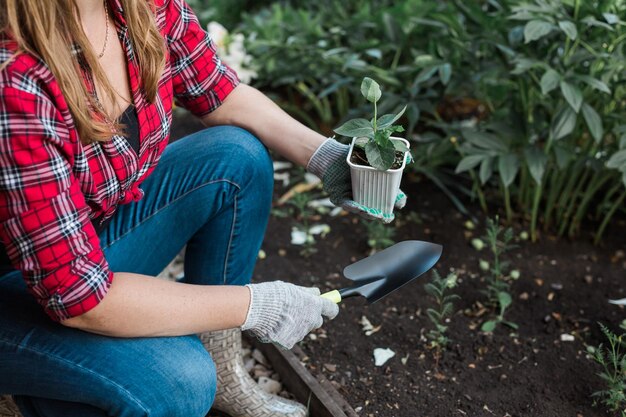 Foto sección media de la planta de la mujer