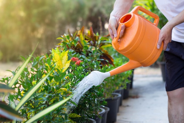 Sección media de las plantas de riego del hombre