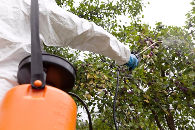 Foto sección media de un trabajador agrícola rociando insecticida en el campo