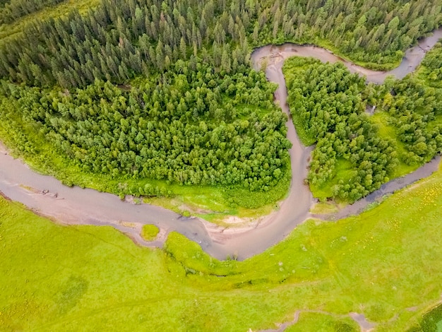 Sección sinuosa del río Ursul Montañas de Altai Campo verde y bosque Vista aérea