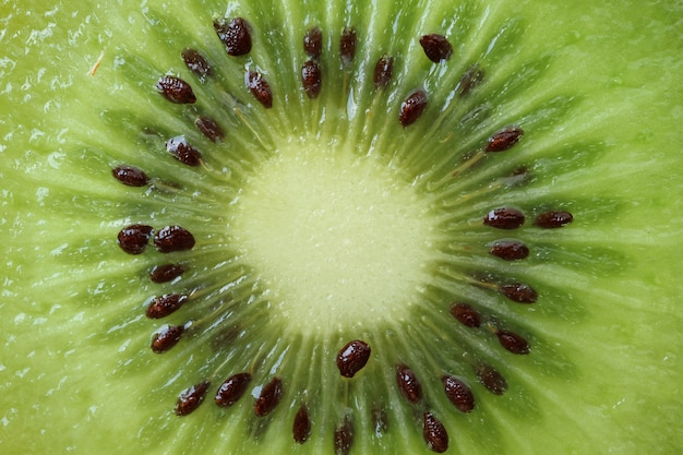 Foto sección transversal de kiwi verde fresco y jugoso