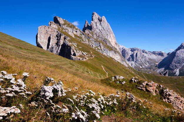 Foto seceda dolomitas