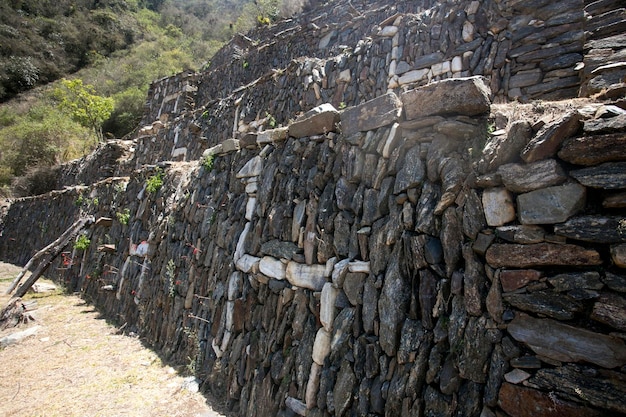 Sector Llamas en ruinas de Choquequirao Perú