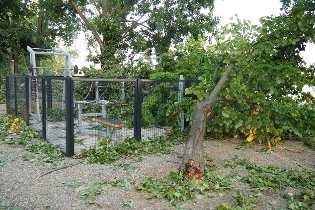 Las secuelas del huracán 19 de julio de 2023 playa Sremska Mitrovica Serbia Árboles rotos en las calles Ramas rotas troncos doblados chips y basura Estado de emergencia después de una tormenta catastrófica