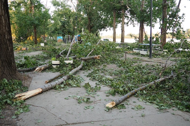 Las secuelas del huracán 19 de julio de 2023 playa Sremska Mitrovica Serbia Árboles rotos en las calles Ramas rotas troncos doblados chips y basura Estado de emergencia después de una tormenta catastrófica