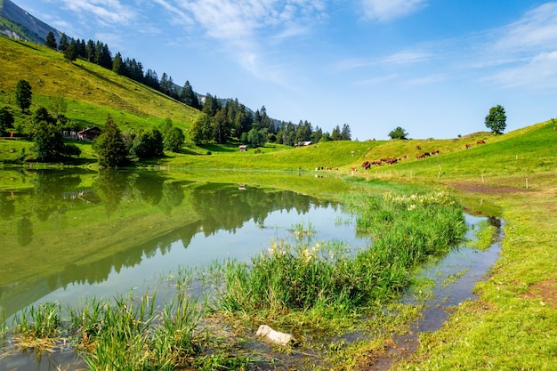 See der Confins und Berglandschaft in La Clusaz Hautesavoie Frankreich