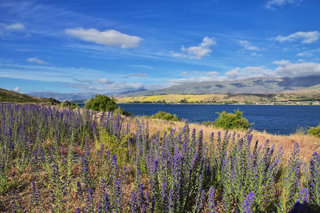 See der Südinsel, Neuseeland