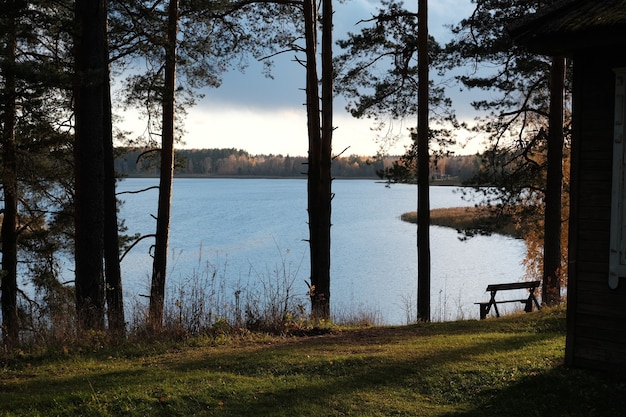 See, hohe Pinien und ein sonniger Sonnenuntergang im Herbst