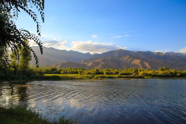 See in den Bergen Ruhige Bucht im Grünen bei Sonnenuntergang Erholungsort Kirgistan Lake IssykKul