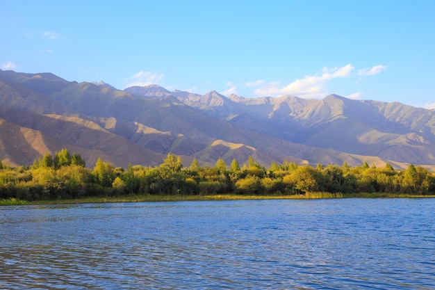 See in den Bergen Ruhige Bucht im Grünen bei Sonnenuntergang Erholungsort Kirgistan Lake IssykKul