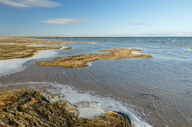 See Kamyslybas oder Kamyshlybash, großer Salzwassersee in der Region Kyzylorda, Kasachstan.