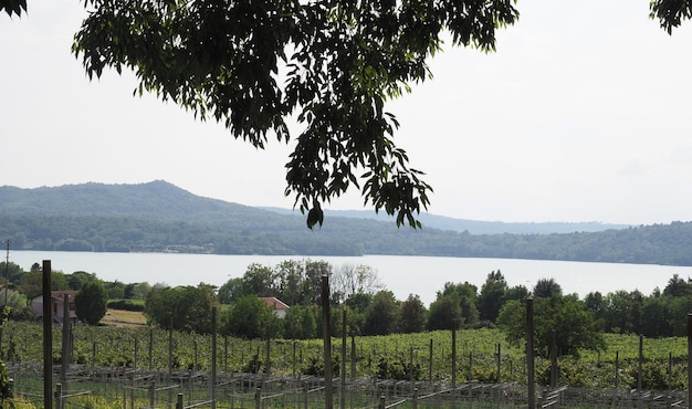 See Lago di Viverone in Italien