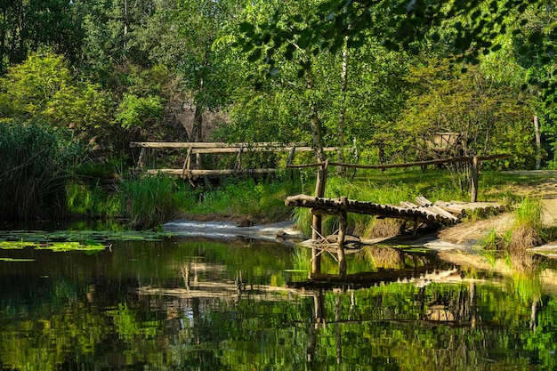 See mit Brücke. Gemütliche Ruhe. Verlassener Stausee. Freizeit in der Natur. Brücke im Sumpf